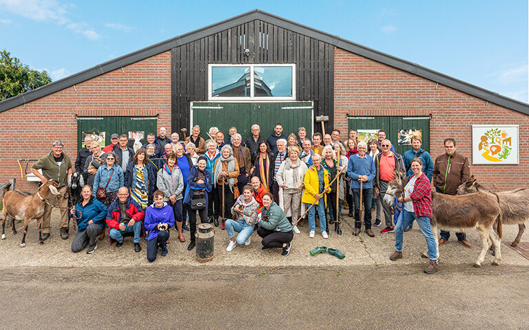 Vrijwilligers festival