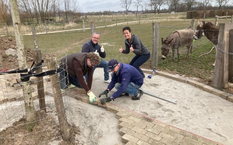 Plein bij de dierenweide