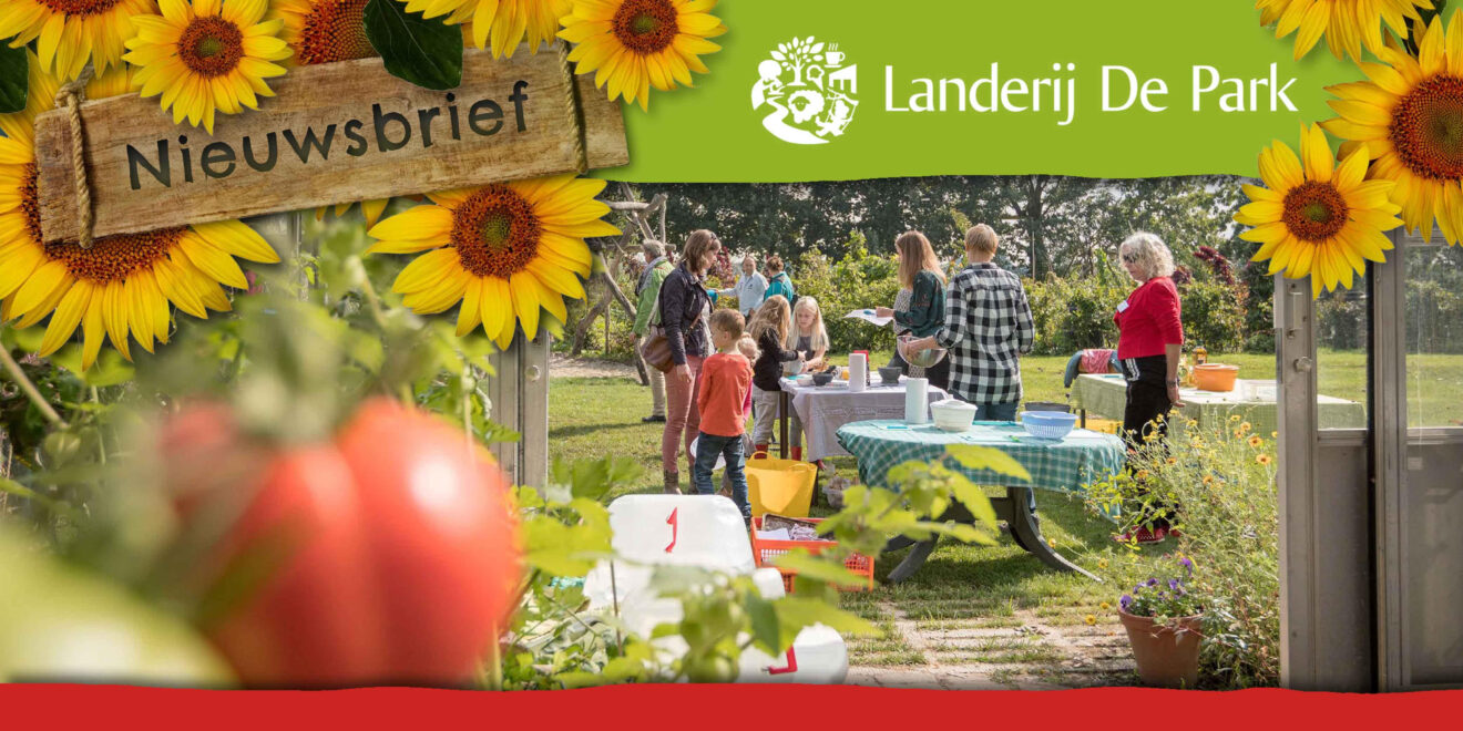 header zomernieuwsbrief