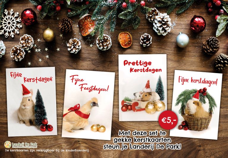 Stuur onze kerstkaart naar ...