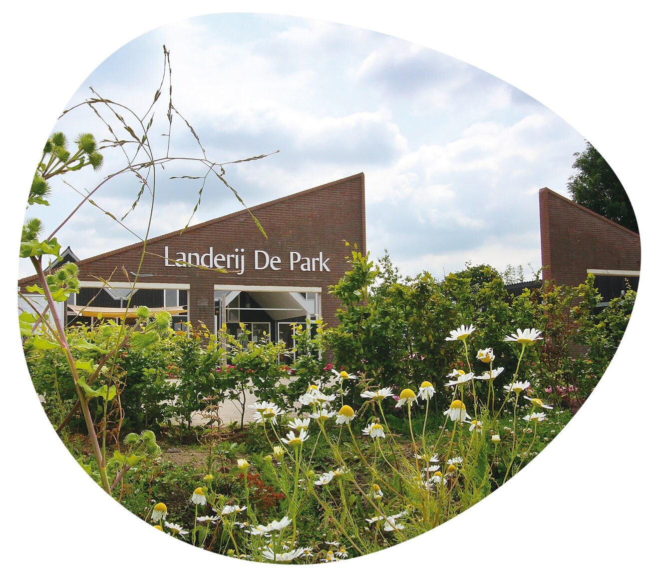 Een feestelijke mijlpaal